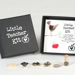 original_little-teacher-kit