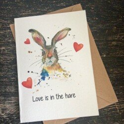Love is in the Hare
