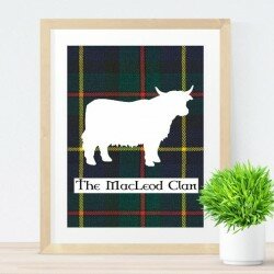 Highland cow family final