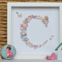 Daisy Frames Butterfly Initial framed picture C